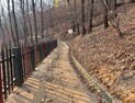 대전시 ‘보문산 걷고 싶은 맨발길’ 무료 개방
