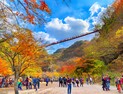 순창 강천산군립공원, 가을 단풍철 16만명 방문 ‘인기절정’