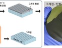 [쿠키과학] 고품질 '그래핀' 저온·초고속 제조기술 개발