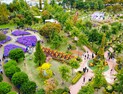 대전 유성국화축제 찾은 관람객 62%가 ‘재방문’