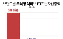 수익률이 답한다…주식형 액티브 ETF, 13조 규모로 급성장