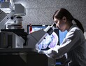 'AX 혁신 허브'… KAIST, AI 강국 도약 인재양성·지역혁신 본격화