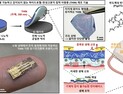 [쿠키과학] '정밀의료 패러다임 바꾼다'… IBS, 심장·뇌에 스스로 붙어 작동하는 나노막 개발