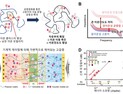 [쿠키과학] 'AI 촉각 혁신'… KAIST-한양대, 초저전력 '이온 다이오드 신경소자' 개발