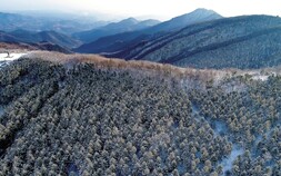 산림청 선정 '백두대간 명소 20선' [쿠키포토]
