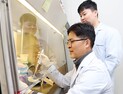 [쿠키과학] '췌장암 면역치료효과 ↑'… 생명연,차세대 면역항암 원천기술 개발
