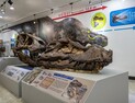 'T-REX '수(SUE)' 두개골 최초 공개'… 지질박물관 '티라노사우루스 120년을 만나다' 특별전