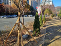 부산 기장군, 정관신도시 도시바람길숲 조성 완료