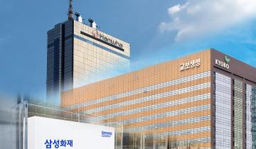 보험사엔 ‘기회’이자 ‘자본 규제의 벽’