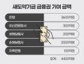 누가 더 내야 하나…보험업계 새도약기금 분담 진통