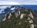 '백두대간 생태계 실질적 회복에 초점'… 산림청, '3차 백두대간 보호 기본계획' 발표