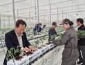 봉화군, 임대형 스마트팜 본격 가동…청년농업인 토마토 정식