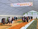 속초시 꽃묘장 맨발 황톳길 '인기'