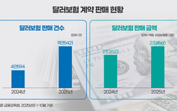 환율 급등에 달러보험 수요 ‘쑥’…당국 관리 강화에 보험사 신중 행보