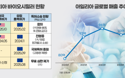빅파마에 도전장 내미는 K바이오…에버그리닝 전략에 고전 [K바이오 특허전쟁②]