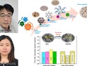 충남대 이광복 교수팀, ‘수소연료 정제 핵심기술’ 개발