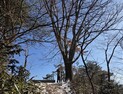 지리산서 심정지 탐방객 심폐소생술로 구조…국립공원 레인저 신속 대응 ‘결정적’