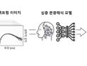 [쿠키과학] '빛의 지문'을 AI가 사진처럼 읽는다… KAIST, AI 심층 분광해석 기술 개발