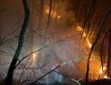 경주·포항서 산불 잇따라…경주 문무대왕면 산불 대응 1단계 발령