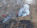 강풍 속 20시간 사투…경주 문무대왕면 산불 잡혔다