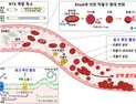 [쿠키과학] 충남대-한양대, '장출혈성 대장균의 숨은 공범 'RTX 독소' 찾았다