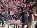 금요일, 아침은 ‘쌀쌀’ 낮엔 ‘포근’…일교차 15도 이상 [날씨]