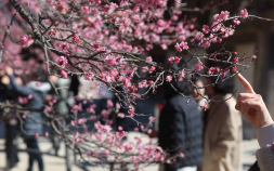 금요일, 아침은 ‘쌀쌀’ 낮엔 ‘포근’…일교차 15도 이상 [날씨]