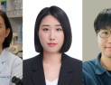 “살아있는 균 아니어도 효과”…프로바이오틱스 장 염증 완화 확인