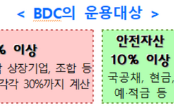 개인도 벤처·혁신기업 투자 가능…17일 BDC 제도 시행