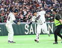 문보경, 1회 만루포 폭발…한국, 체코전 4-0 리드 [WBC]