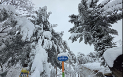 전국 비·눈…강원산지 최대 15㎝ 적설 [날씨]