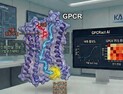 [쿠키과학] KAIST, 알파폴드를 넘어선 단백질 구조예측 AI 개발