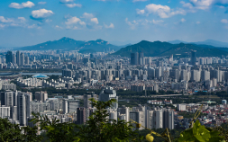 1월 전국 오피스텔 거래 3366건…전년 대비 65.6% 증가