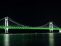 부산시설공단, 세계 녹내장 주간 맞아 광안대교 녹색 점등