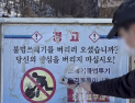 “팔로워 1명당 쓰레기 1개”…SNS 공약이 바꾼 우리 동네 [쿠키청년기자단]