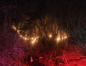 춘천시 동산면 산불 2시간 45분 만에 진화…산림 0.3ha 소실