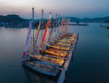 클리퍼 세계일주 요트대회 통영 ‘PORT WEEK’ 환영식 개최