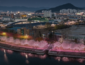 춘천 공지천, 빛·경관·산책 결합한 야간 명소화 추진