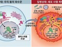 [쿠키과학] 