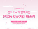 안동 도심 곳곳서 벚꽃 버스킹…도민체전 분위기 끌어올린다