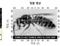 [쿠키과학] '곤충 시각원리 모사' 초슬림 광각 카메라 개발