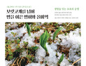 경북문화관광공사, 4월 제철 식재료 명이·올미역 ‘추천’