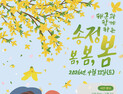 주민이 이끈 송정 도시재생…해군과 '봄봄봄'으로 확장