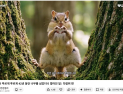 42년 ‘우리 강산 푸르게’의 변신…“뚠뚠 다람쥐 숲 더 많아졌으면” MZ 감성 통했다
