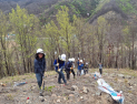 안동시, 산불 피해지 328ha 복구 조림 착수