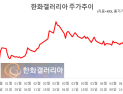 한화 3남 김동선 효과?…한화갤러리아 ·한화갤러리아우  ‘상한가’