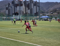 전국 22개 초등학교 참가 스토브리그 축구대회 평창에서 열린다