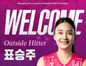 흥국생명, 베테랑 아웃사이드히터 표승주 영입 [V리그]