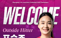 흥국생명, 베테랑 아웃사이드히터 표승주 영입 [V리그]