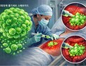 [쿠키과학] KAIST, 줄기세포 생존 한계 넘는 3차원 배양 기술 개발